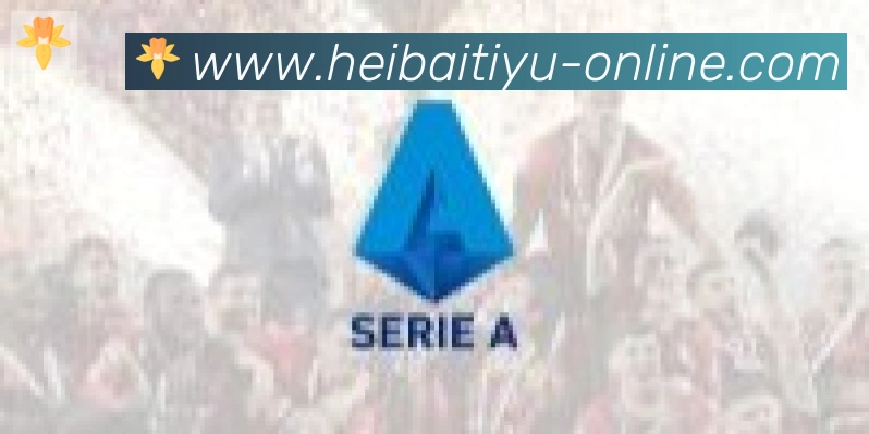 黑白体育直播合作伙伴